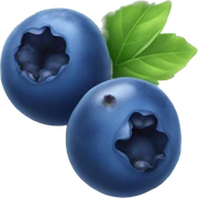 blueberry sticker