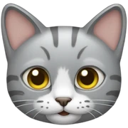 Car cat sticker