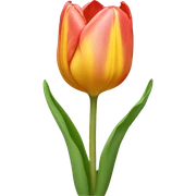 Tulip flower sticker