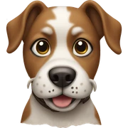 Dog the beach  sticker