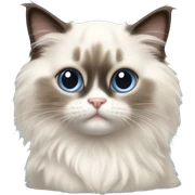 Ragdoll kitten sitting sticker