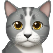 Grey and white cat sticker