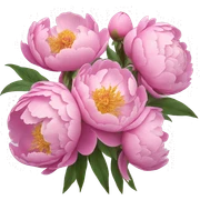 Peonies  sticker