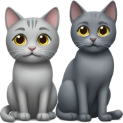 Grey cat and grey cat sticker