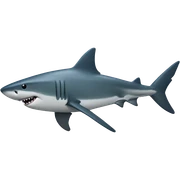 A shark in the ocean  sticker