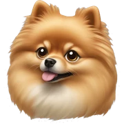 Pomeranian  sticker