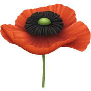 poppy sticker