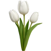 White tulips  sticker