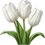 white tulips sticker