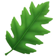 leaves sticker