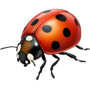 Ladybug  sticker