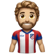 atletico de madrid sticker