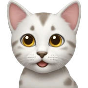 kitten sticker