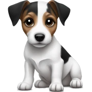jack russell black and white puppy sticker