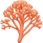pastel orange coral sticker