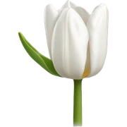 white tulip sticker