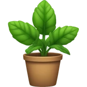 moriviví plant sticker