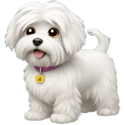 fluffy Maltese dog sticker