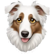 White australian shepherd  sticker