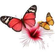 hibiscus with butterfly  sticker