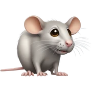 Raton sticker