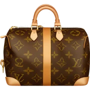 Louis Vuitton bag sticker