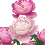 Peony sticker