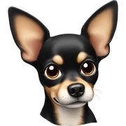 Black brown chihuahua laying sticker