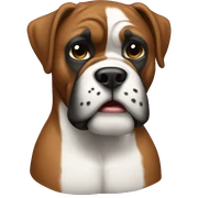 Boxer sticker