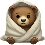 bear cozy in blanket sticker