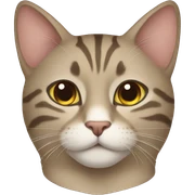 Gato sticker