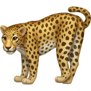 leopard sticker
