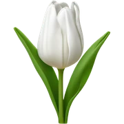 white tulip bouquet  sticker