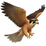 falcon sticker