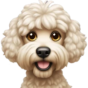 caniche sticker