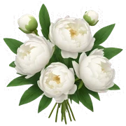 White peonies bouquet  sticker