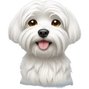 Maltese dog sticker