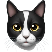 tuxedo cat sticker