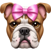 Bulldog with a pink bow on head  sticker