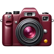 burgundy camera  sticker
