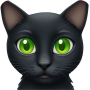 Black cat with green eyes  sticker