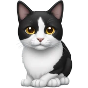 black and white cat sticker
