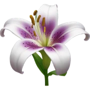 lily flower sticker