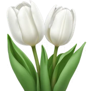 White tulips sticker