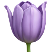 Lilac single tulip sticker
