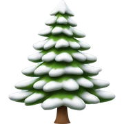  actual white fir christmas tree isolated.  sticker