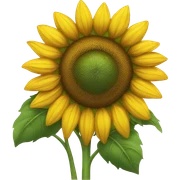 Sunflower  sticker