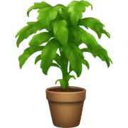 plant  sticker