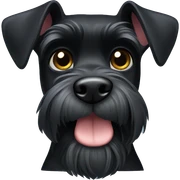 black schnauzer sticker