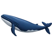 humpbck whale, dark blue sticker